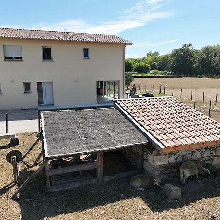 Villa Des Grands Crus Cadaujac Dış mekan fotoğraf