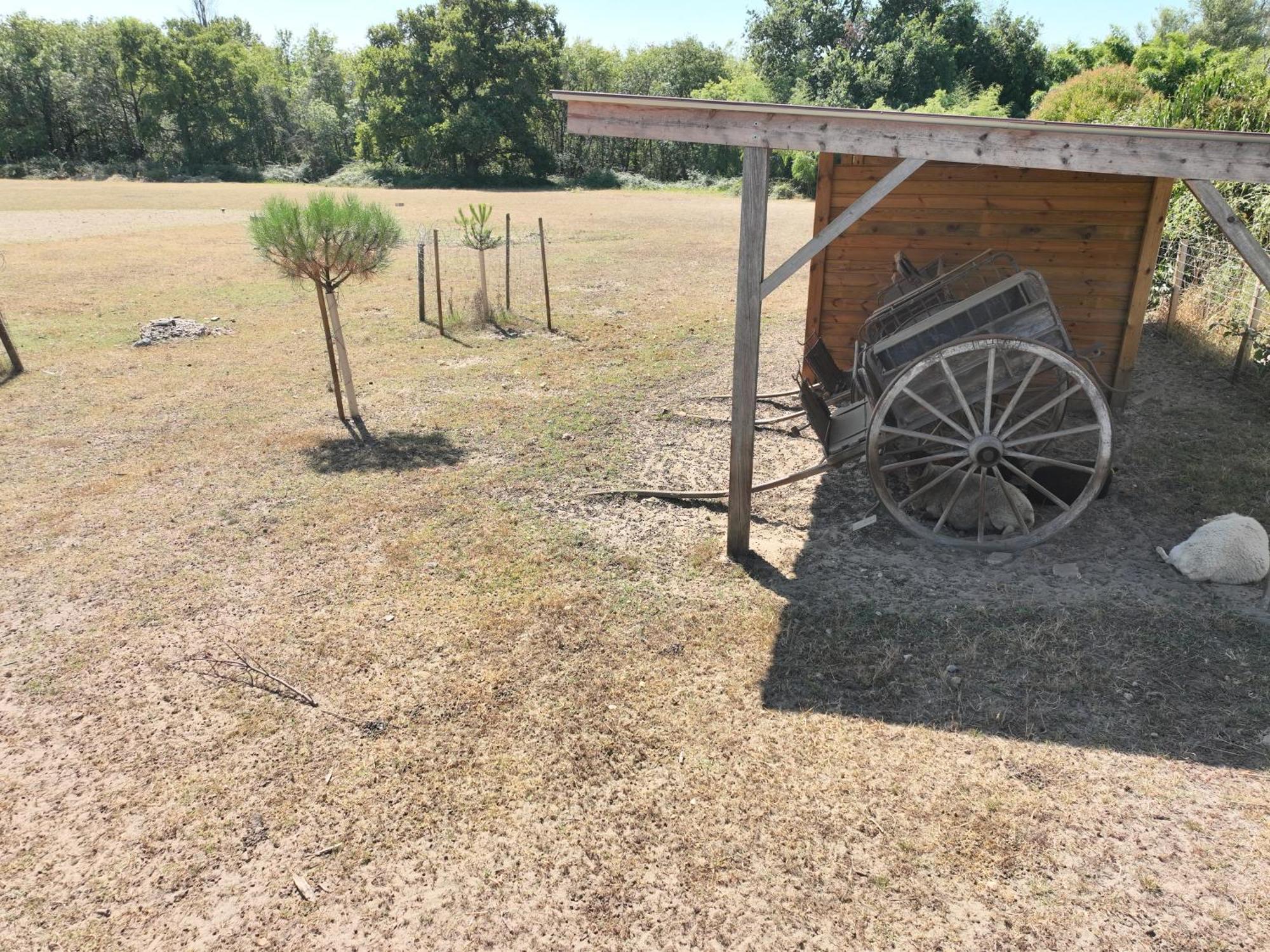 Villa Des Grands Crus Cadaujac Dış mekan fotoğraf